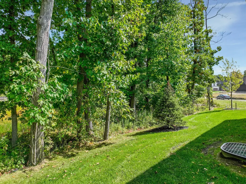359 Amelia Circle South Lyon City MI 48178