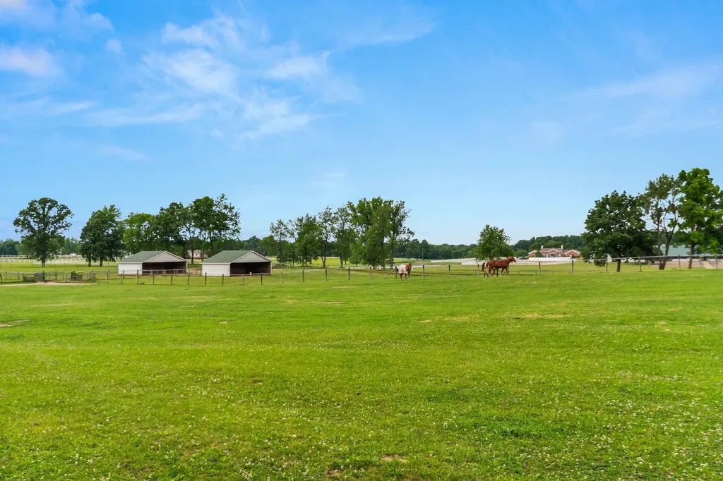 14091 Scio Church Road Lima Township MI 48118