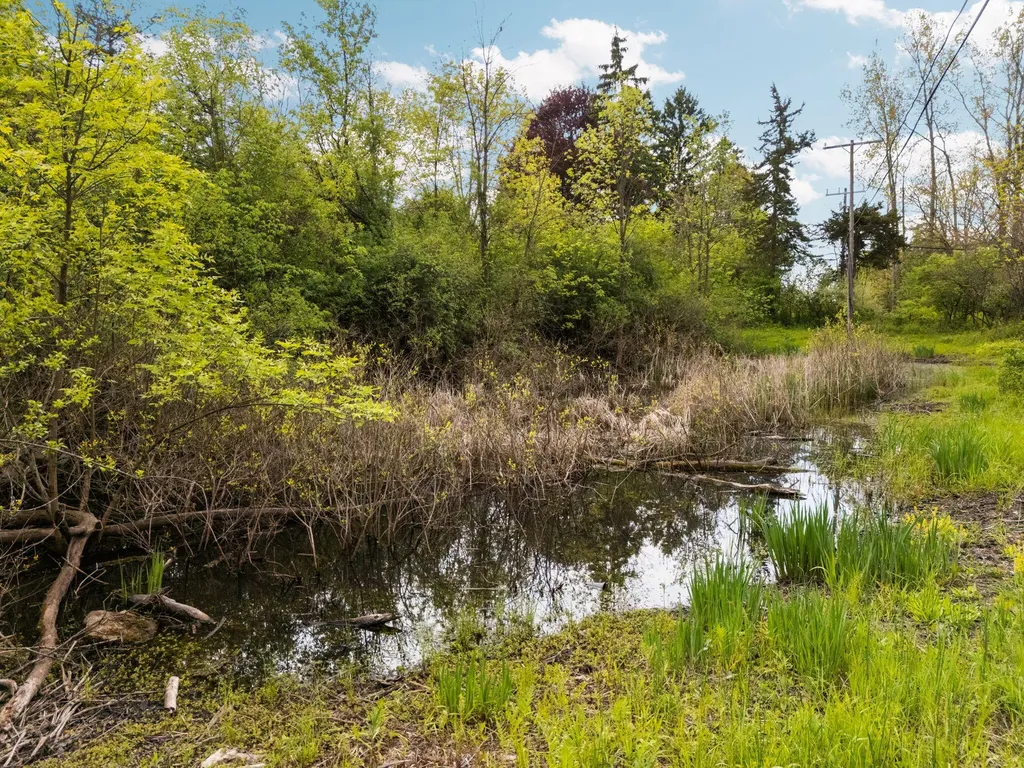2203 Hickman Road Superior Charter Township MI 48198