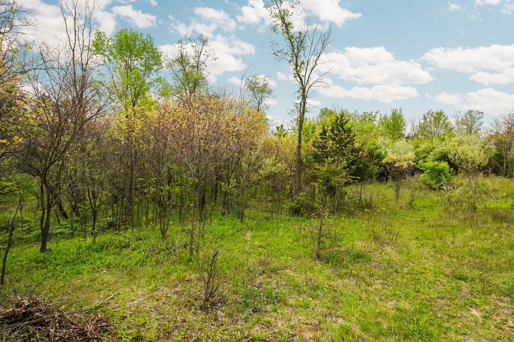 2203 Hickman Road Superior Charter Township MI 48198