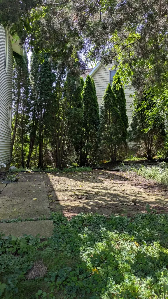 10149 Emerald Drive Cambridge Township MI 49230