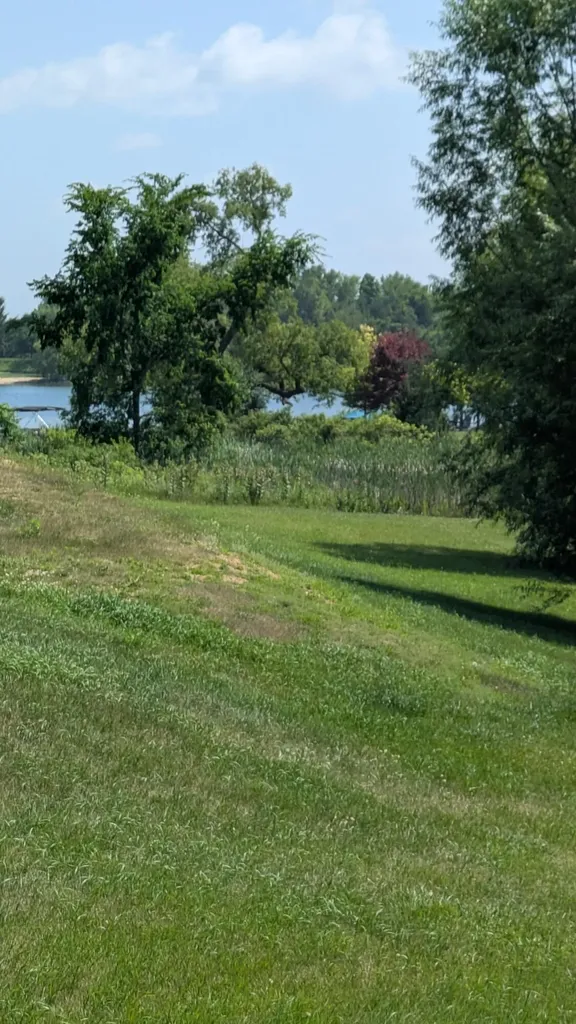 10149 Emerald Drive Cambridge Township MI 49230