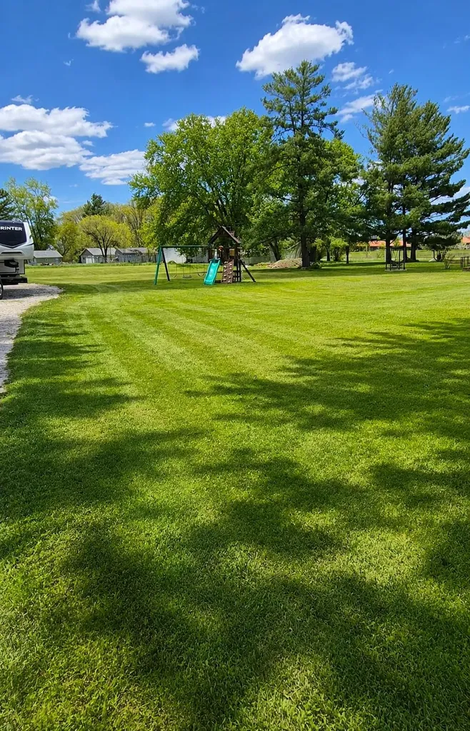 536 N Clyde Road Homer Township MI 48640