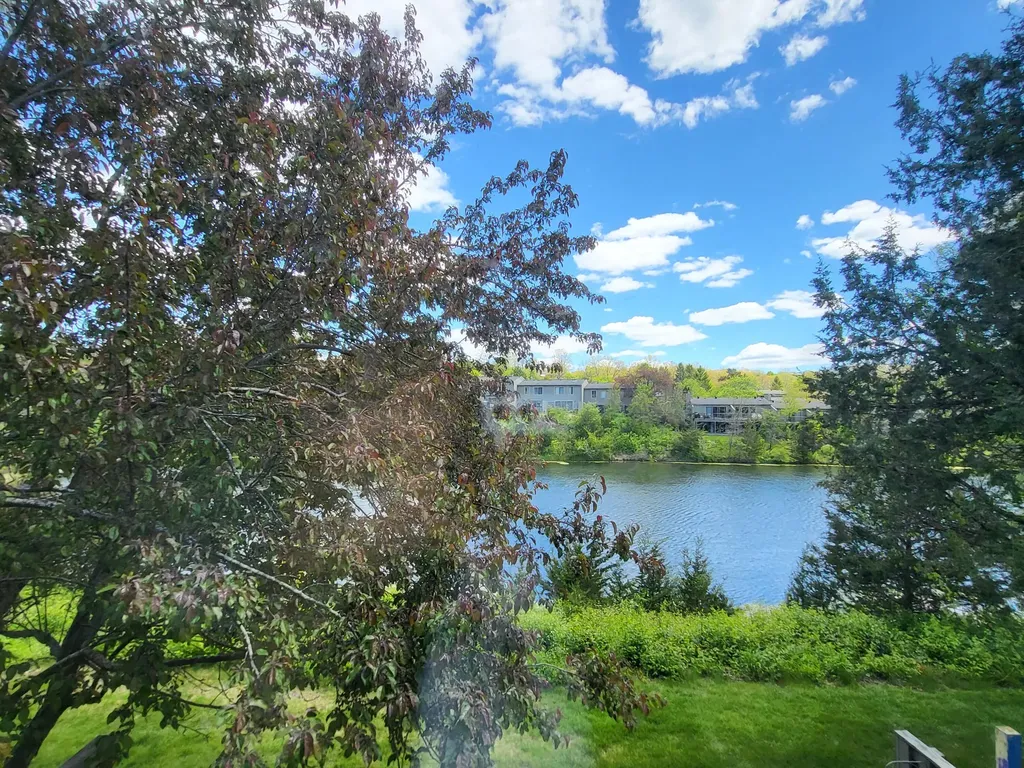740 Peninsula Court Ann Arbor City MI 48105