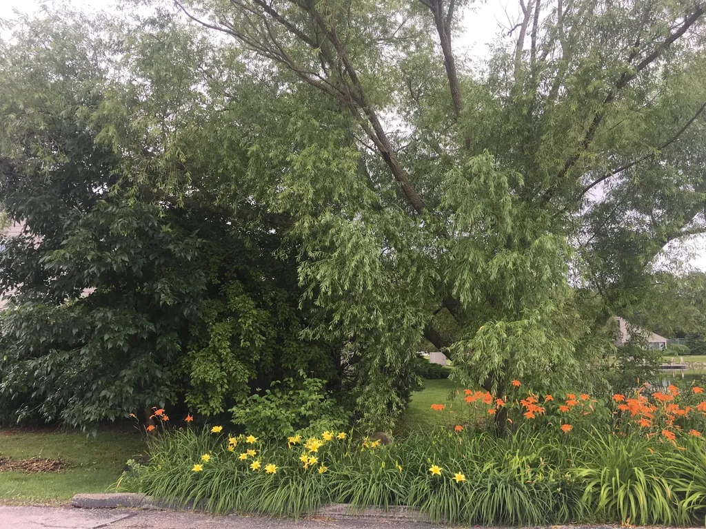 740 Peninsula Court Ann Arbor City MI 48105