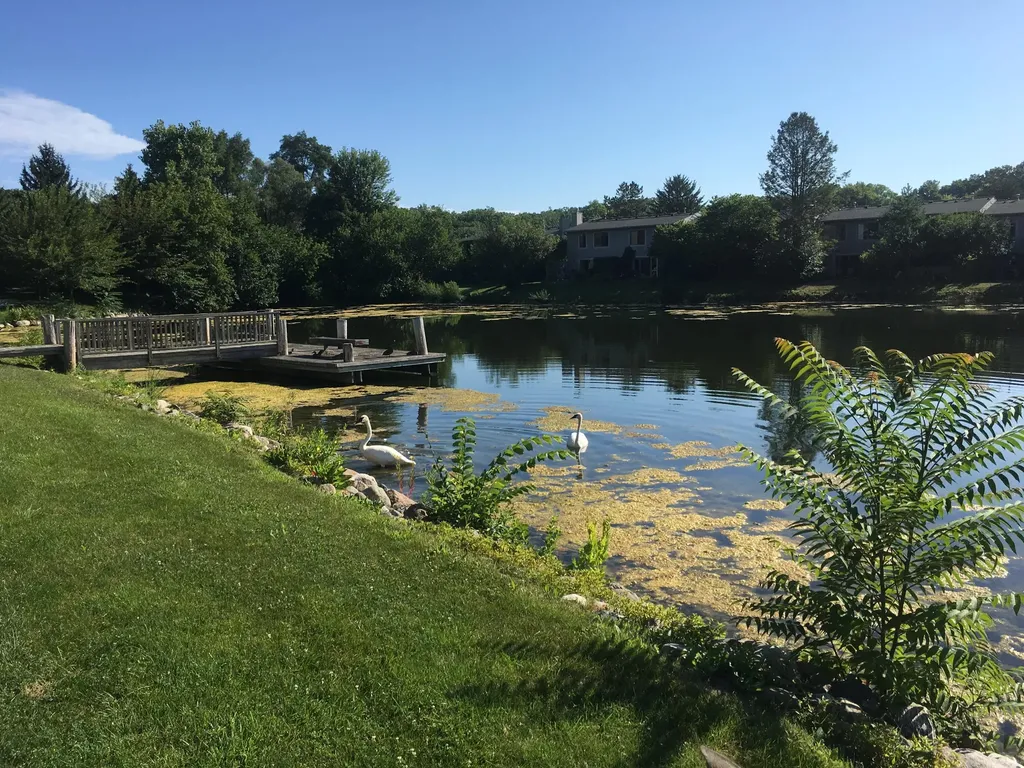 740 Peninsula Court Ann Arbor City MI 48105