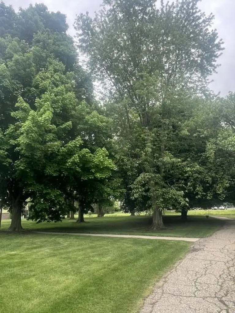 1472 W Chateau Vert Street Ypsilanti Charter Township MI 48197