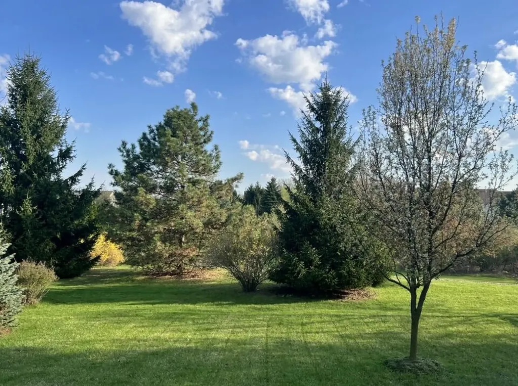 4227 Woodcrest Court Pittsfield Charter Township MI 48197