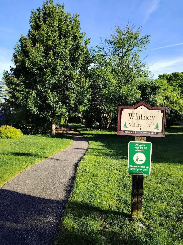 210 Whitney Drive Rochester Hills City MI 48307