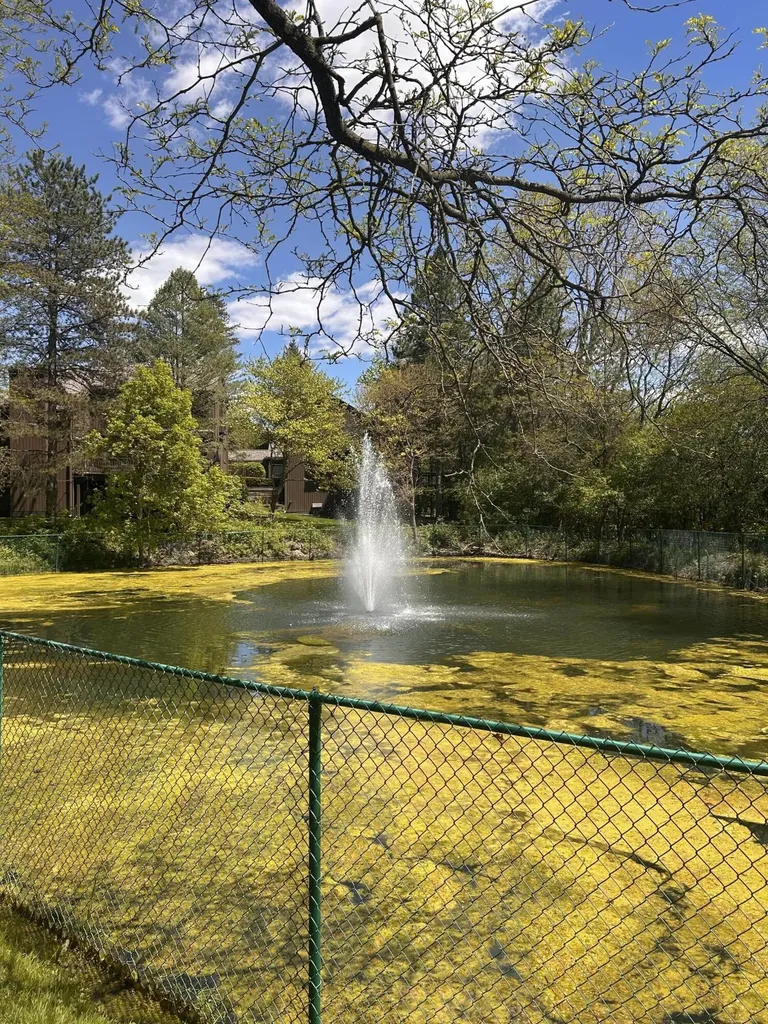 18 Northwick Court Ann Arbor City MI 48105