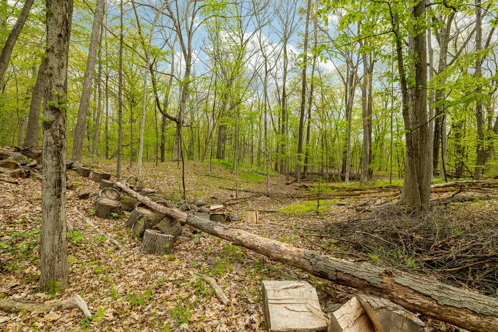 8470 Merrill Road Webster Township MI 48189