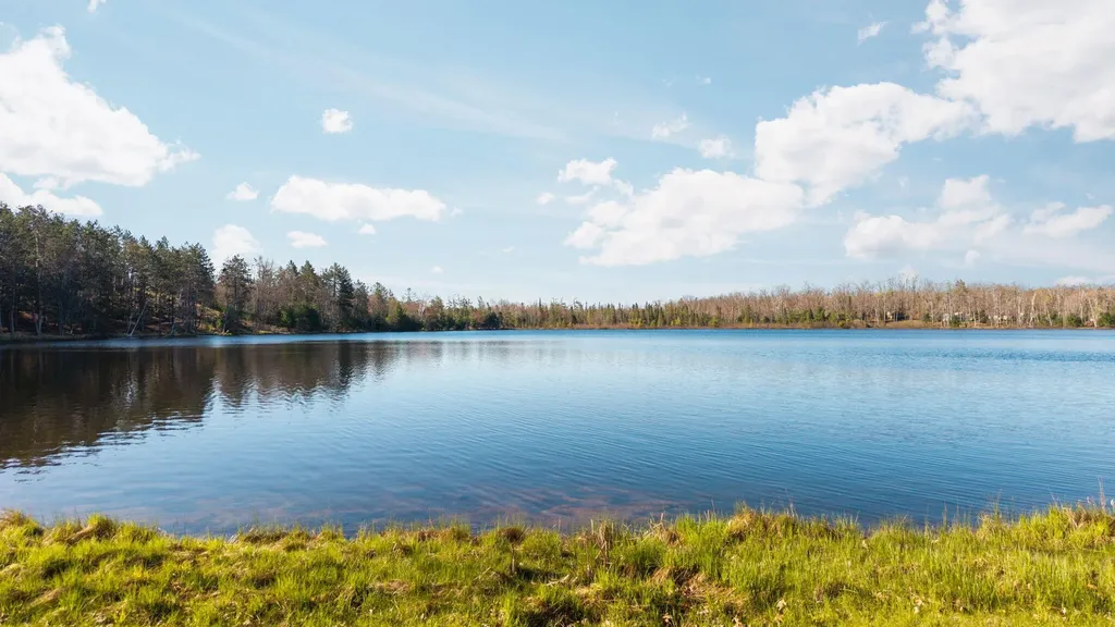 8838 Lakeshore Trail Montmorency Township MI 49709