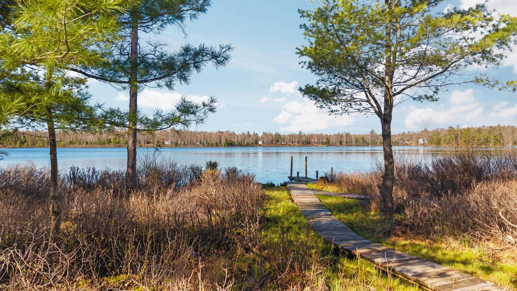 8838 Lakeshore Trail Montmorency Township MI 49709