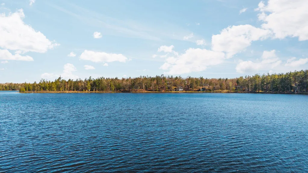 8838 Lakeshore Trail Montmorency Township MI 49709