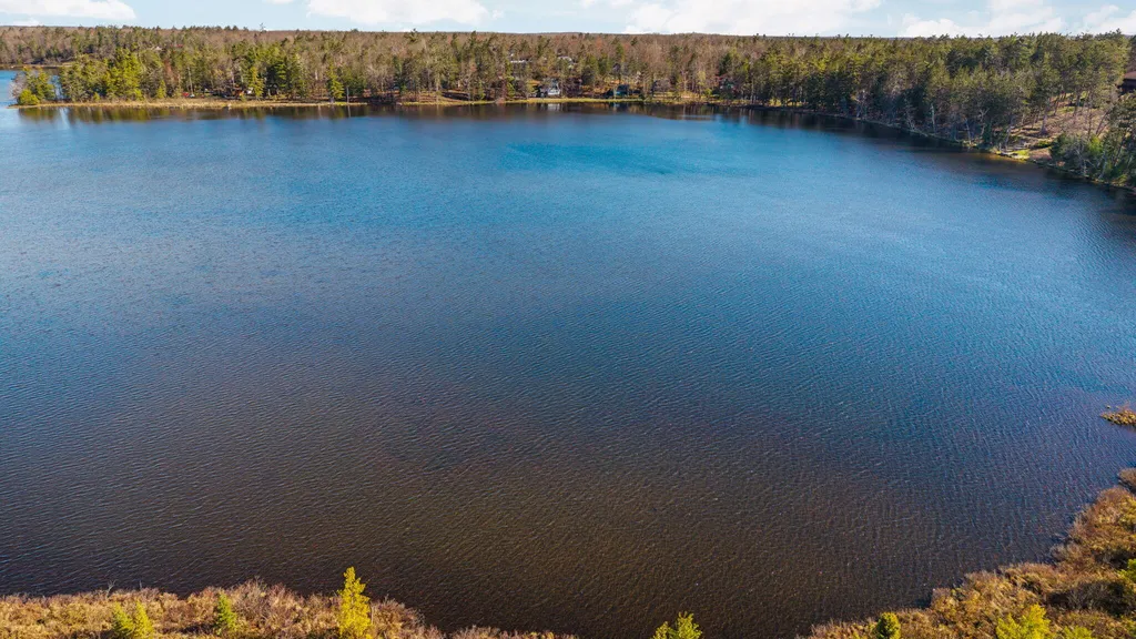 8838 Lakeshore Trail Montmorency Township MI 49709