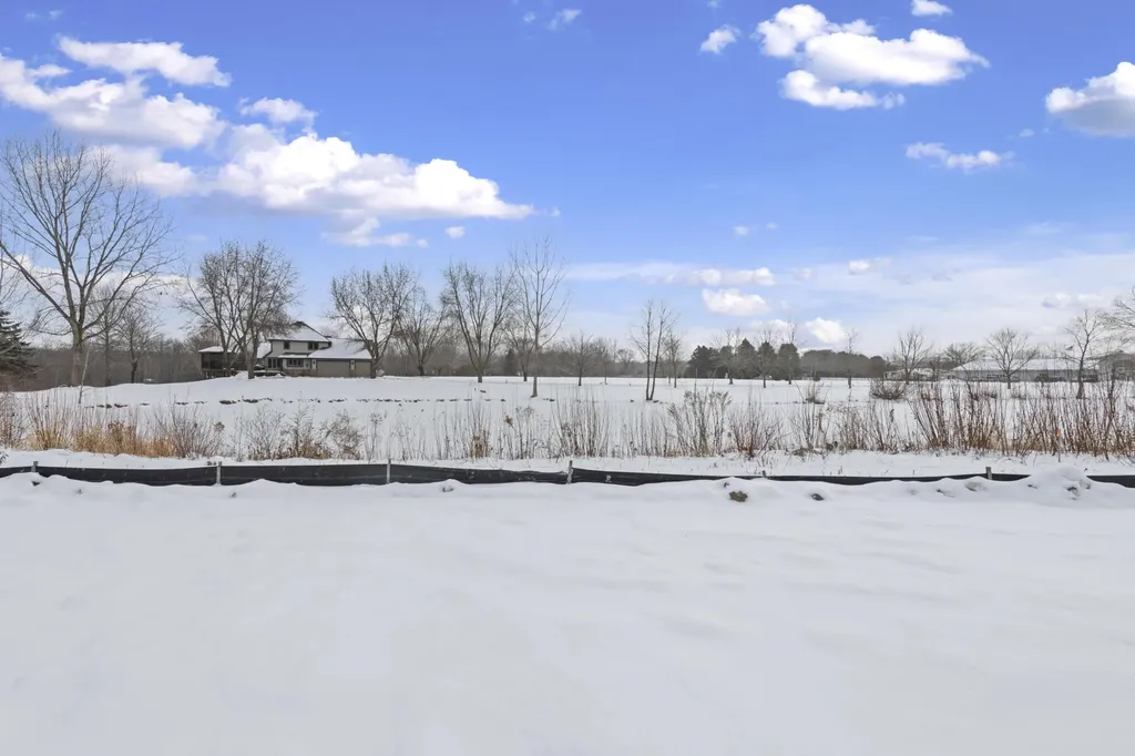 28510 Coyote Court Lyon Charter Township MI 48165