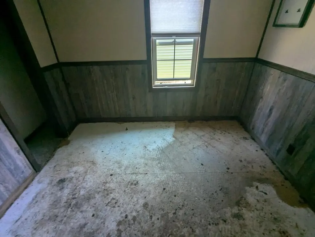 8836 Williams Road Dewitt Charter Township MI 48820