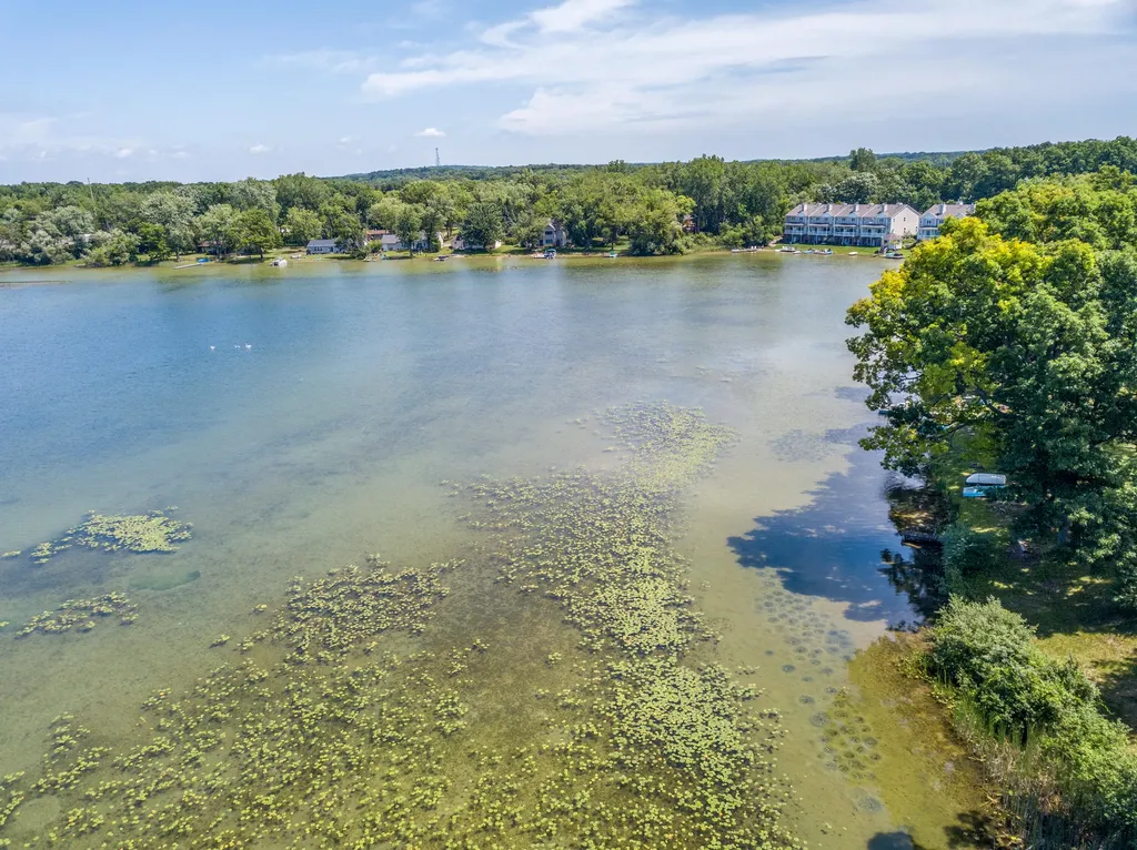 11306 Woodruff Lake Drive Brighton Township MI 48116
