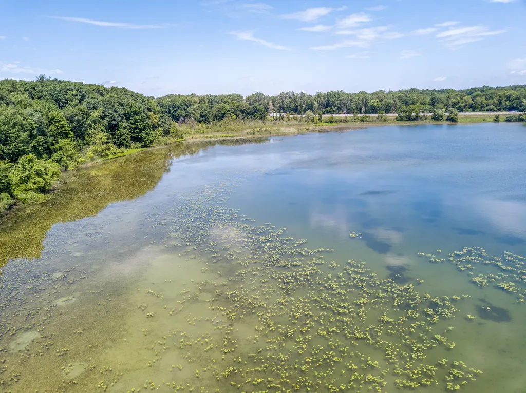 11306 Woodruff Lake Drive Brighton Township MI 48116
