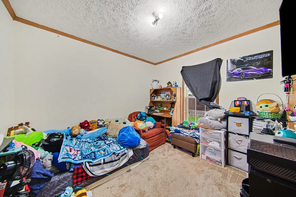 6848 Coon Hill Road Henrietta Township MI 49259
