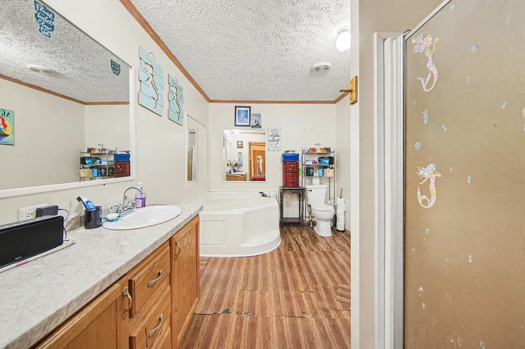6848 Coon Hill Road Henrietta Township MI 49259