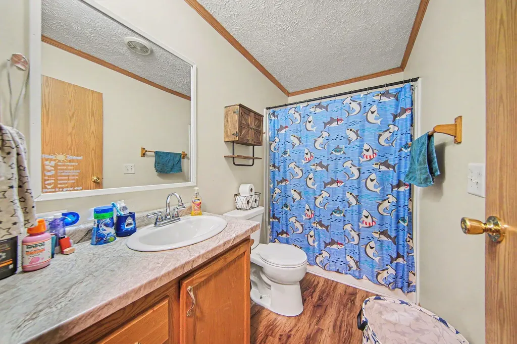 6848 Coon Hill Road Henrietta Township MI 49259