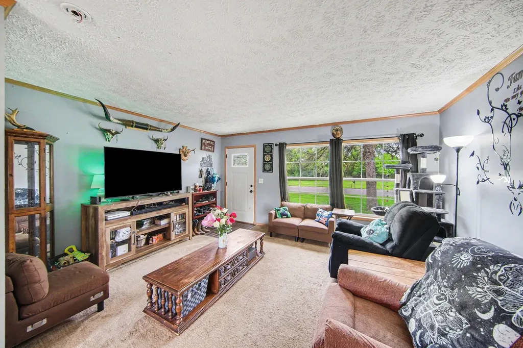 6848 Coon Hill Road Henrietta Township MI 49259