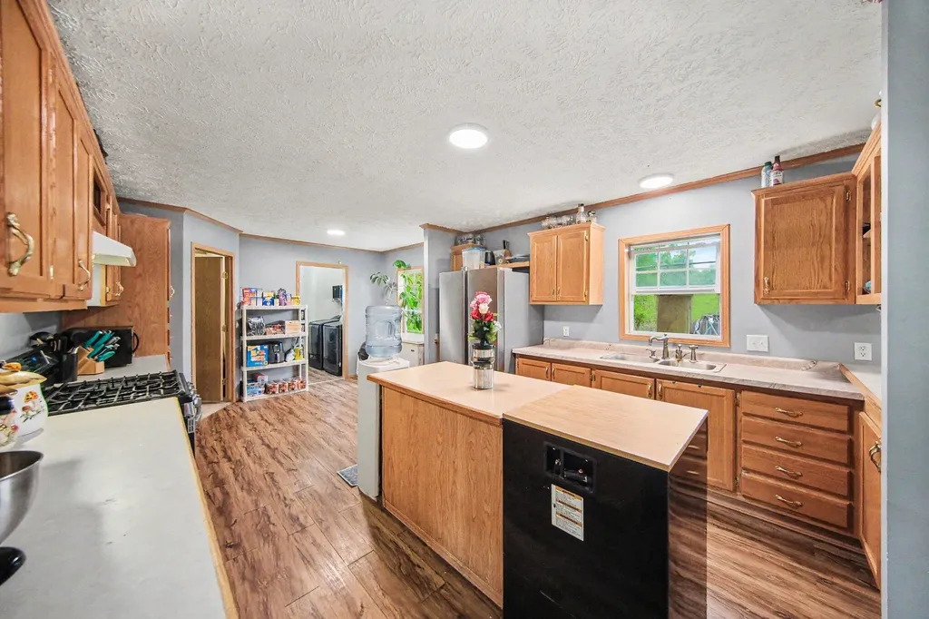 6848 Coon Hill Road Henrietta Township MI 49259