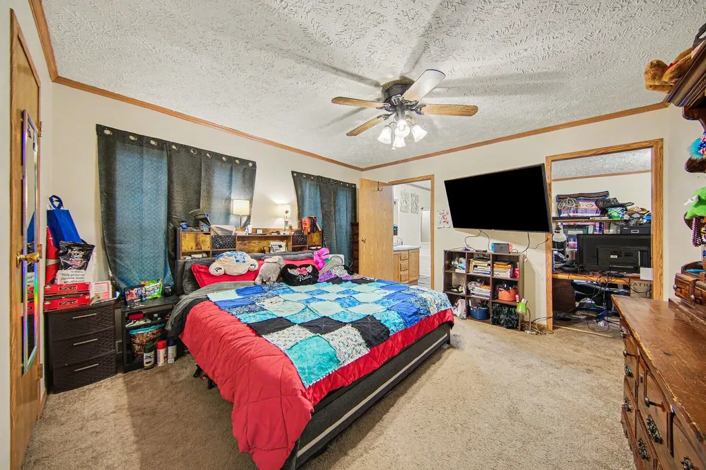 6848 Coon Hill Road Henrietta Township MI 49259