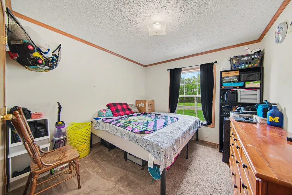 6848 Coon Hill Road Henrietta Township MI 49259