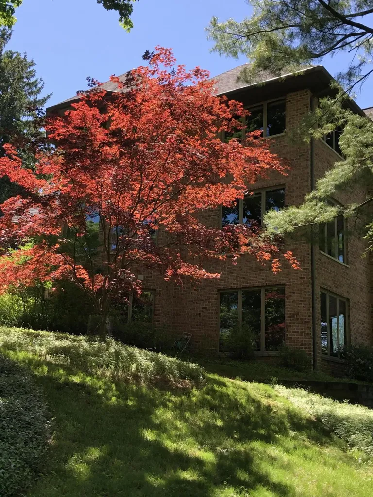 445 Huntington Drive Ann Arbor Charter Township MI 48104