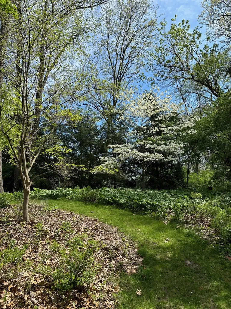 445 Huntington Drive Ann Arbor Charter Township MI 48104