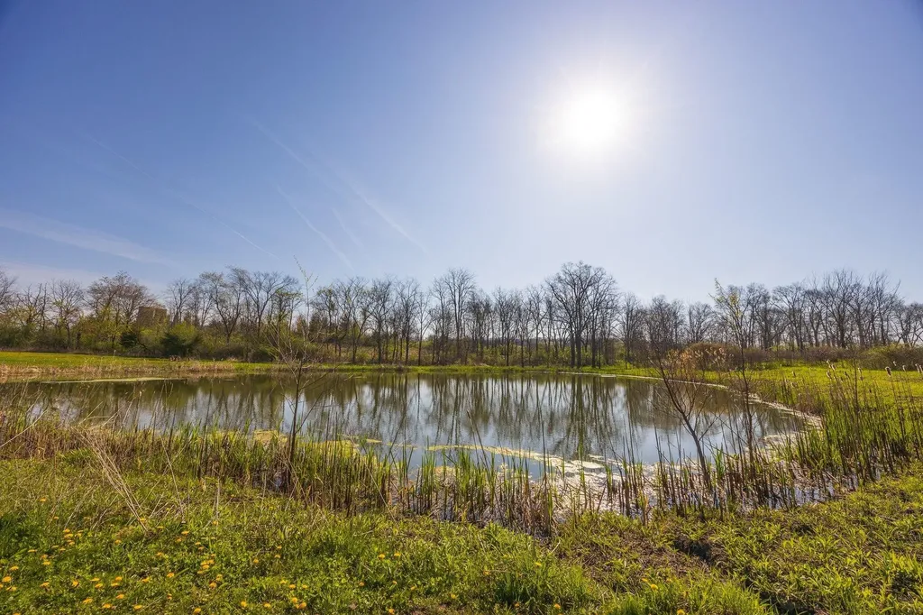 8885 Burmeister Road Bridgewater Township MI 48176