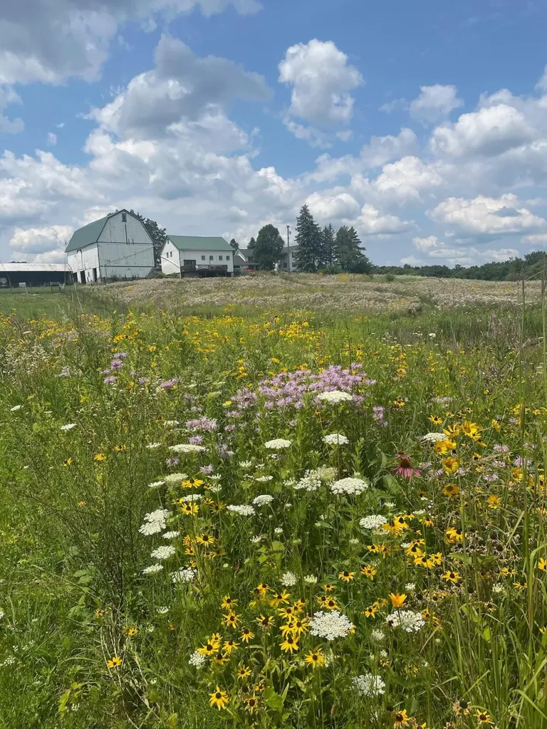 8885 Burmeister Road Bridgewater Township MI 48176