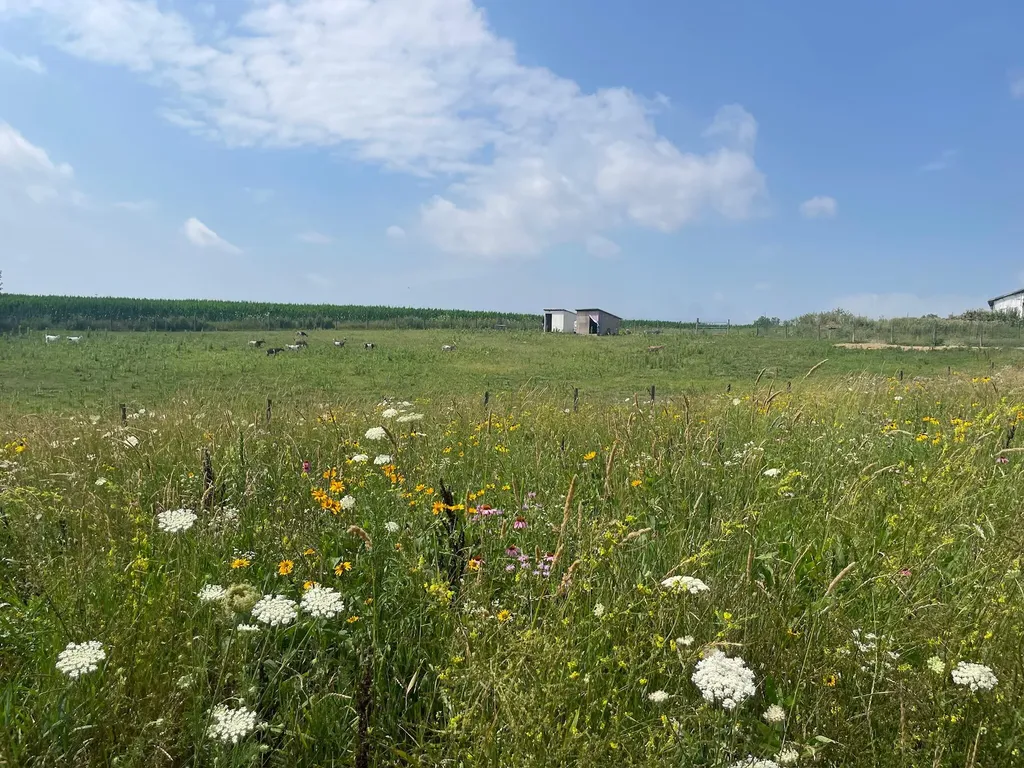 8885 Burmeister Road Bridgewater Township MI 48176