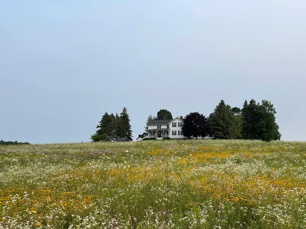 8885 Burmeister Road Bridgewater Township MI 48176