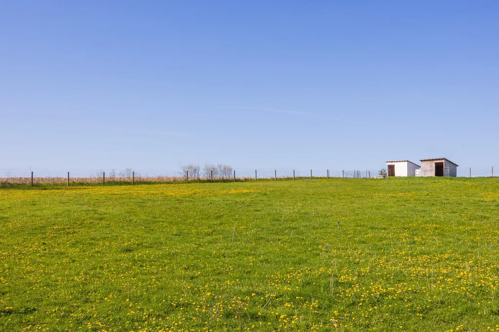 8885 Burmeister Road Bridgewater Township MI 48176