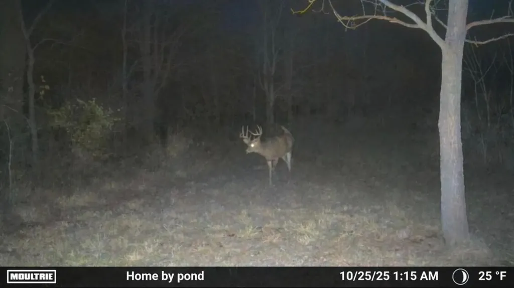 8885 Burmeister Road Bridgewater Township MI 48176