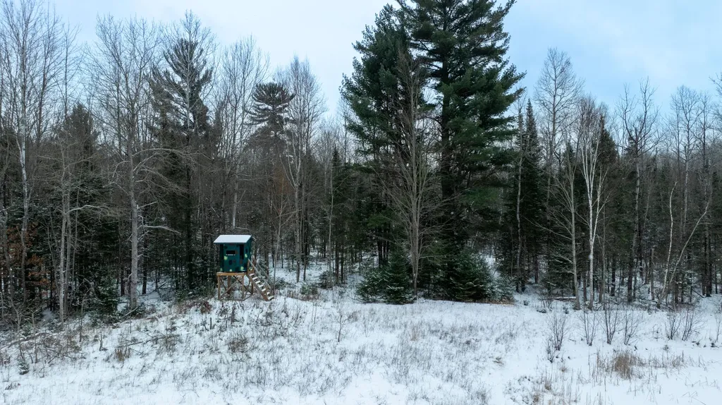 1570 Ryno Road Big Creek Township MI 48636