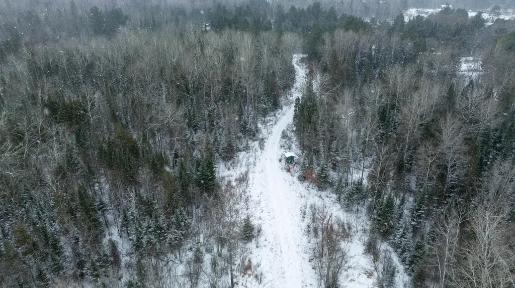 1570 Ryno Road Big Creek Township MI 48636
