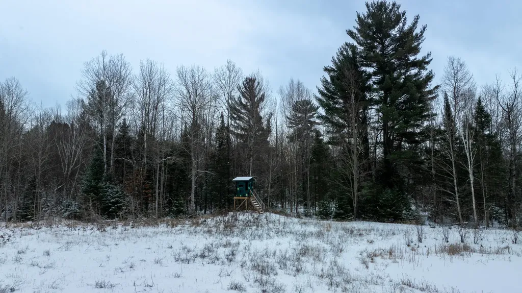 1570 Ryno Road Big Creek Township MI 48636