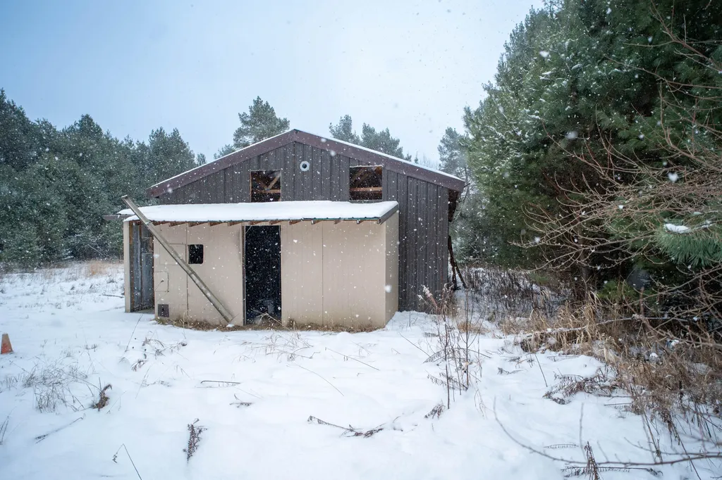 1570 Ryno Road Big Creek Township MI 48636