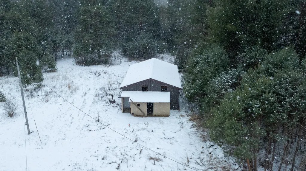 1570 Ryno Road Big Creek Township MI 48636