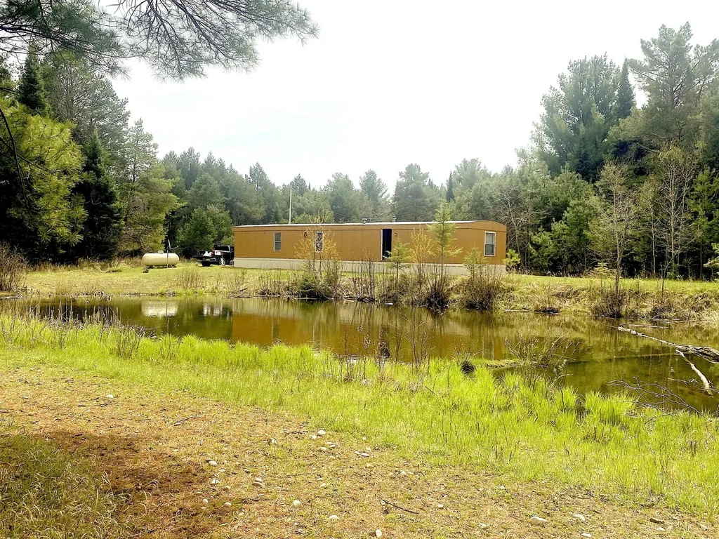 1570 Ryno Road Big Creek Township MI 48636