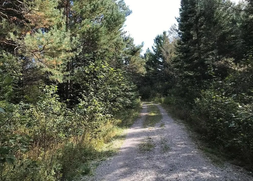 1570 Ryno Road Big Creek Township MI 48636