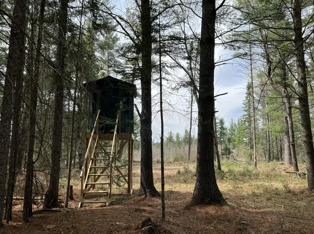 1570 Ryno Road Big Creek Township MI 48636