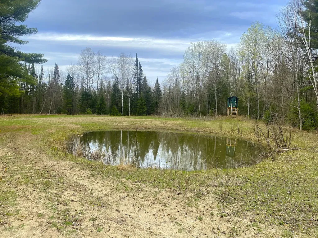 1570 Ryno Road Big Creek Township MI 48636