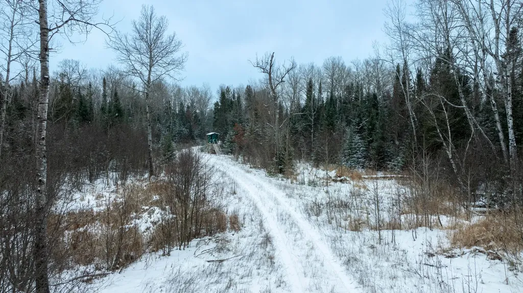 1570 Ryno Road Big Creek Township MI 48636