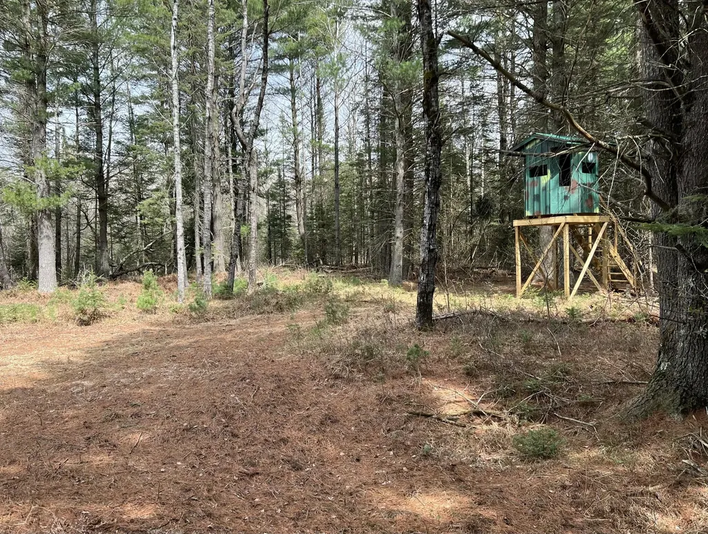 1570 Ryno Road Big Creek Township MI 48636