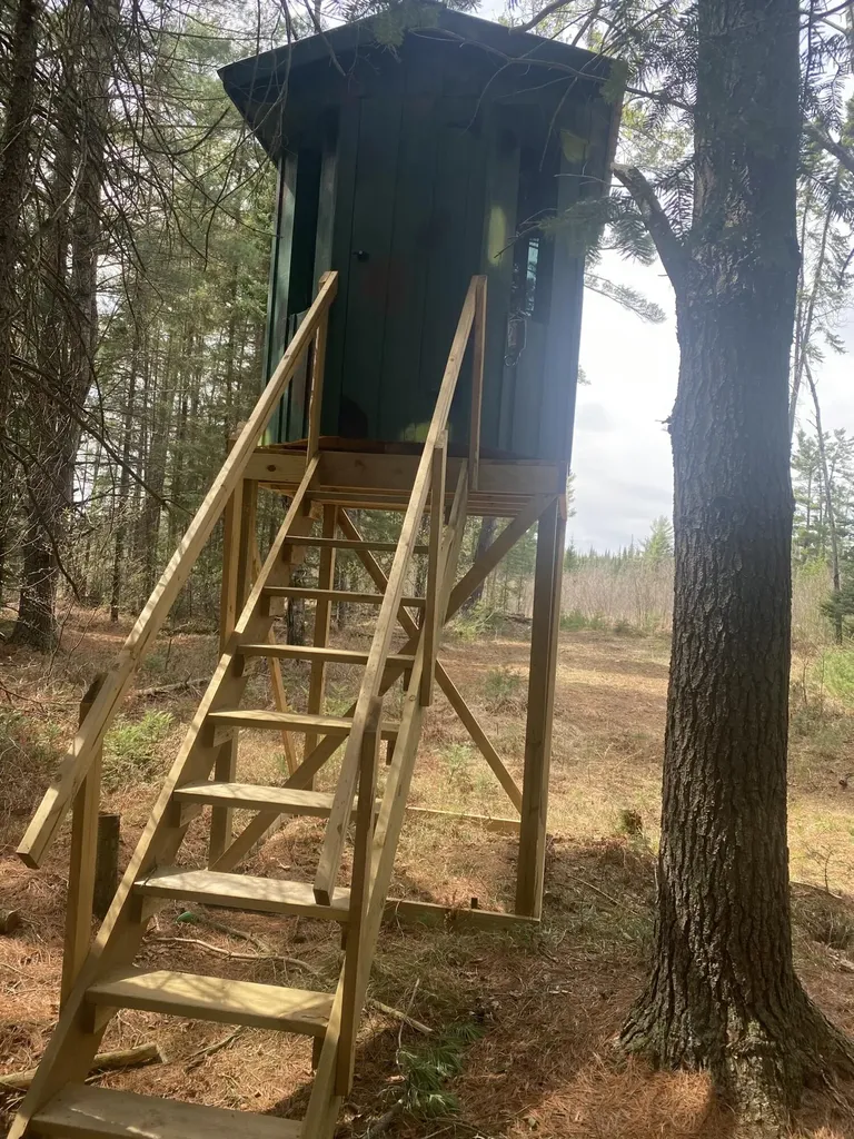 1570 Ryno Road Big Creek Township MI 48636